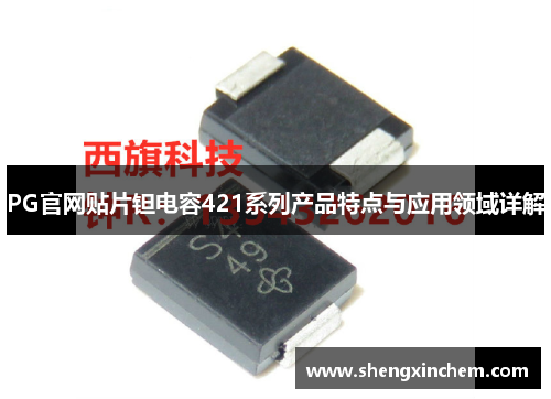 PG官网贴片钽电容421系列产品特点与应用领域详解